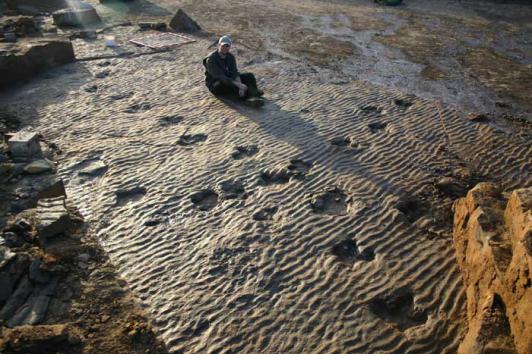 The dinosaur footprints show an excellent preservation